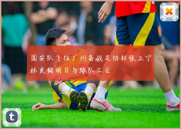 国安队飞往广州备战足协杯张玉宁林良铭明日与球队汇合